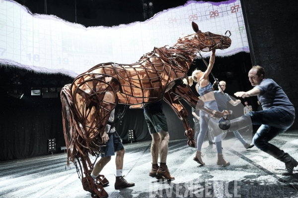 War Horse / Répétitions et coullisses à Wembley