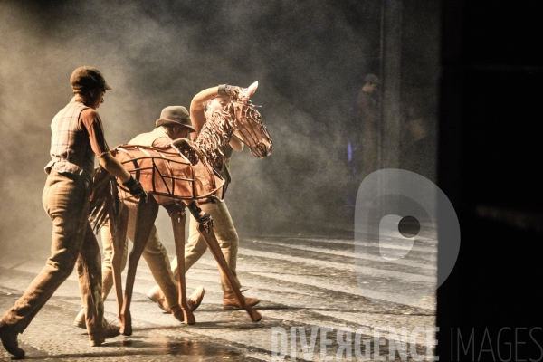 War Horse / Répétitions et coullisses à Wembley