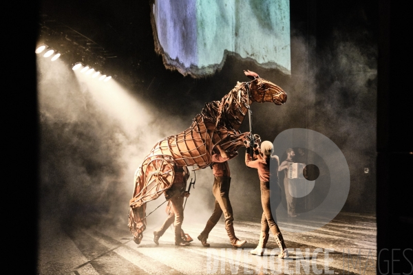 War Horse / Répétitions et coullisses à Wembley