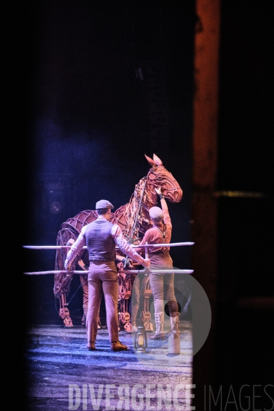 War Horse / Répétitions et coullisses à Wembley