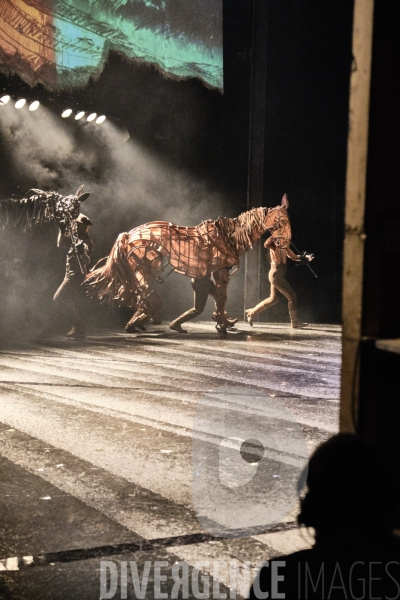 War Horse / Répétitions et coullisses à Wembley