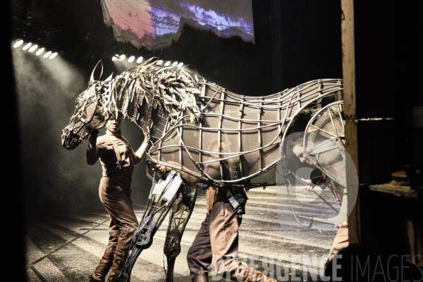 War Horse / Répétitions et coullisses à Wembley