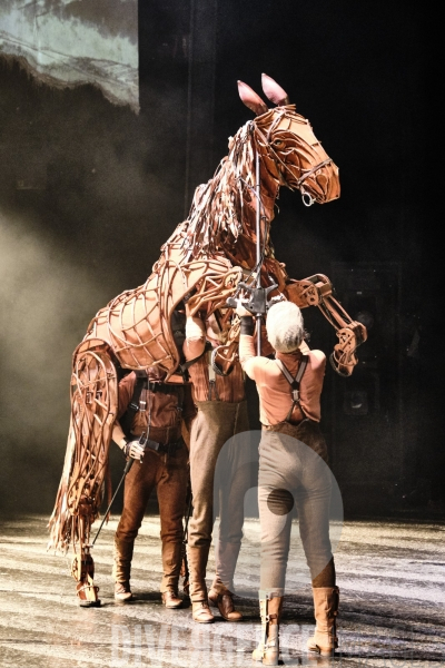 War Horse / Répétitions et coullisses à Wembley