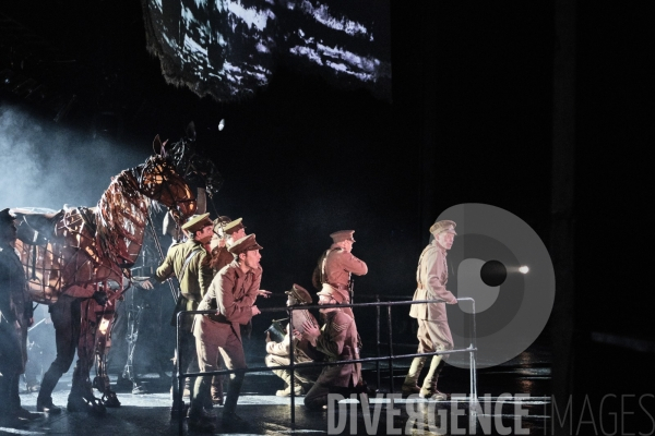 War Horse / Répétitions et coullisses à Wembley