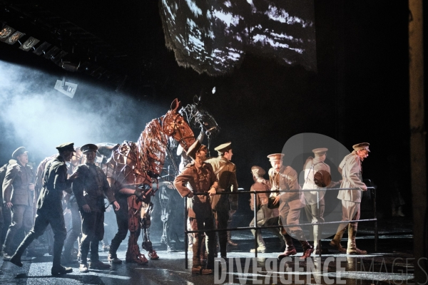 War Horse / Répétitions et coullisses à Wembley