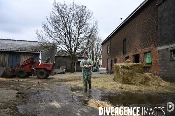 Vétérinaires ruraux: virage imminent