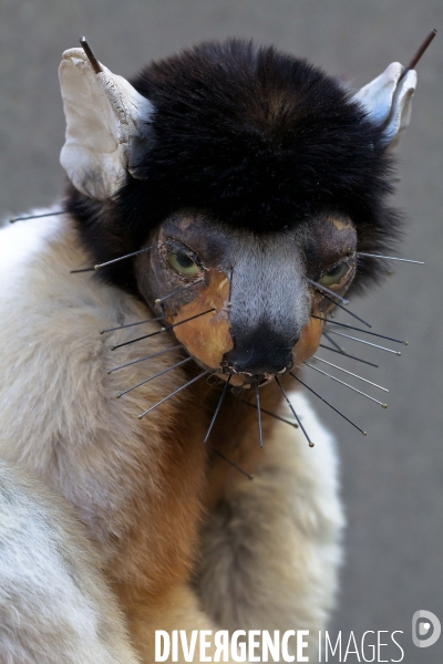 Atelier de taxidermie du Muséeum d histoire naturelle