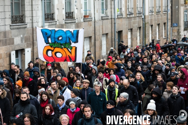 Manifestation contre la réforme des retraites à Nantes