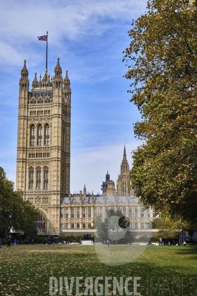 Palais de Westminster -  tour de l horloge-  à Londres