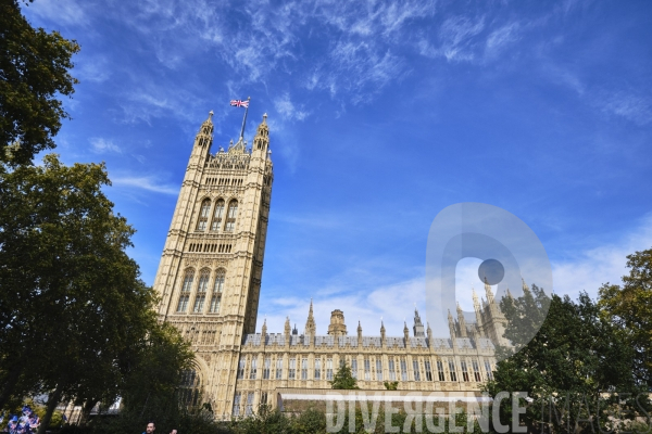 Palais de Westminster -  tour de l horloge-  à Londres