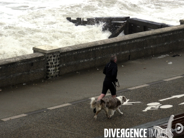 Illustration le Havre dans le vent