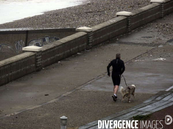 Illustration le Havre dans le vent