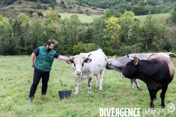 Le burger du champ à l assiette