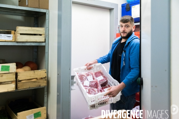 Le burger du champ à l assiette