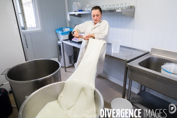 Producteur de mozzarella en Occitanie