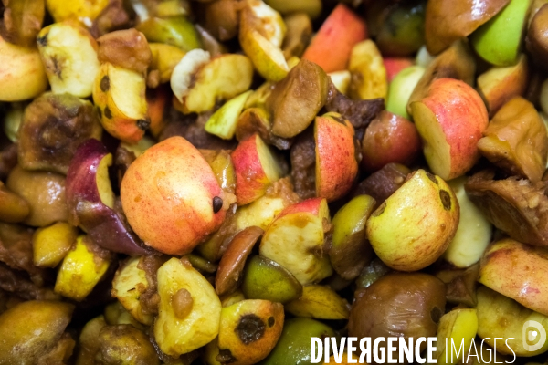 Conserverie artisanale