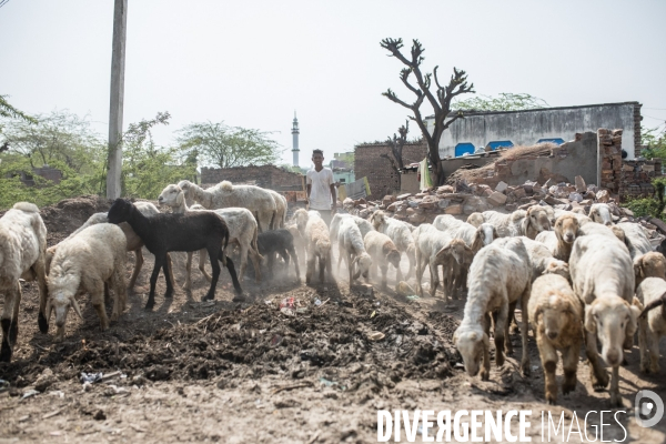 Trafic d épouses en Inde/ Wife trafficking in india