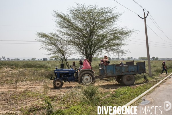 Trafic d épouses en Inde/ Wife trafficking in india