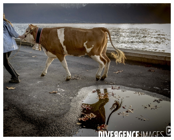 Riviera Vaudoise #16