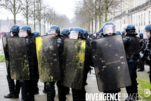 Manifestation contre la réforme des retraites à Nantes