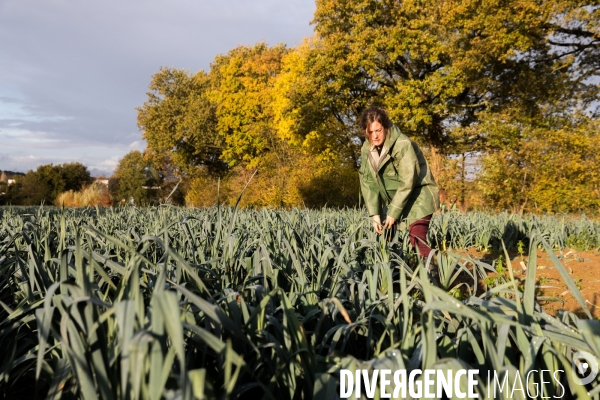 Une cantine dans la Pampa bretonne