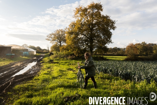 Une cantine dans la Pampa bretonne