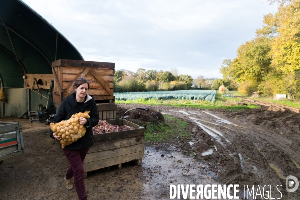 Une cantine dans la Pampa bretonne