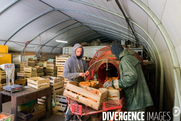 Une cantine dans la Pampa bretonne