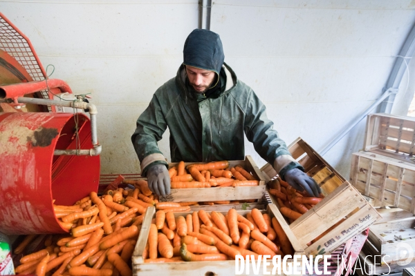 Une cantine dans la Pampa bretonne