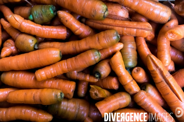 Une cantine dans la Pampa bretonne