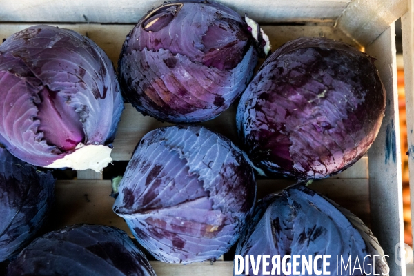 Une cantine dans la Pampa bretonne