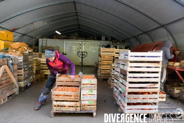 Une cantine dans la Pampa bretonne