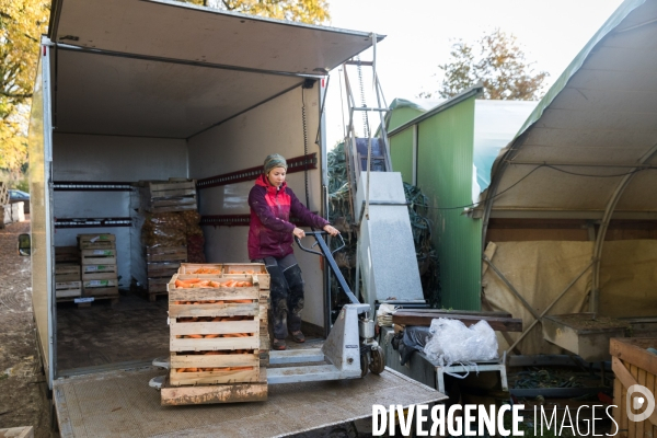 Une cantine dans la Pampa bretonne