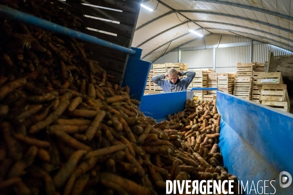 Une cantine dans la Pampa bretonne