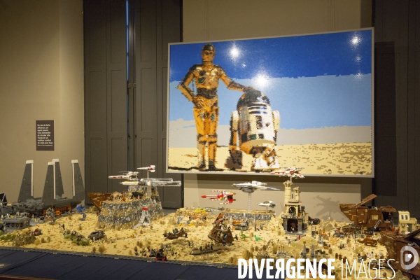 Cine en briques  expo lego a versailles