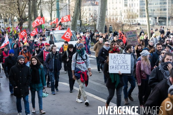 Manifestation contre la réforme des retraites à Nantes