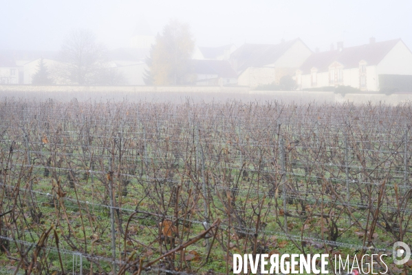 A Reims, la maison de Champagne Krug