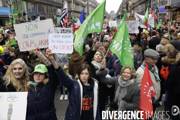 Manifestation anti-PMA  à Paris