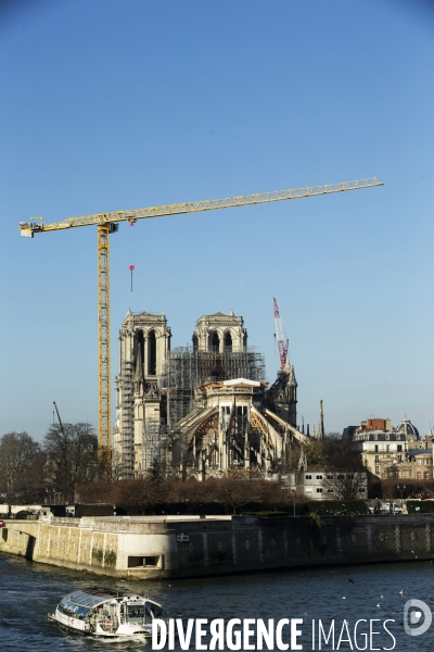 Une grue géante au chevet de Notre-Dame de Paris.