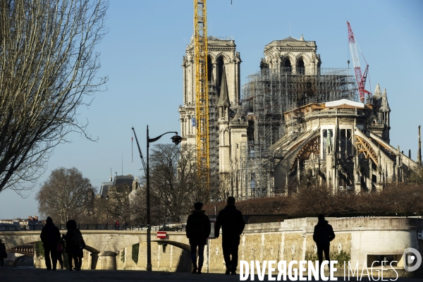 Une grue géante au chevet de Notre-Dame de Paris.