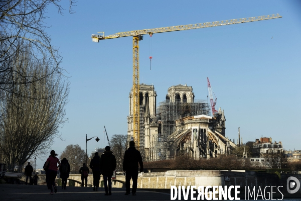 Une grue géante au chevet de Notre-Dame de Paris.