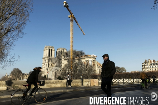 Une grue géante au chevet de Notre-Dame de Paris.