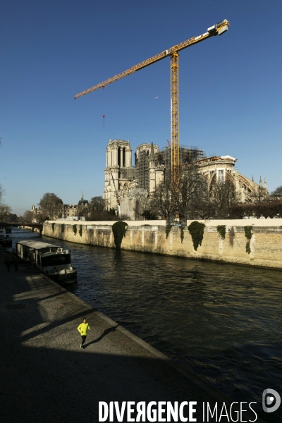 Une grue géante au chevet de Notre-Dame de Paris.