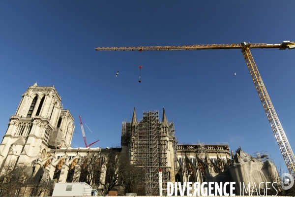 Une grue géante au chevet de Notre-Dame de Paris.