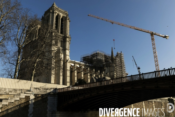 Une grue géante au chevet de Notre-Dame de Paris.