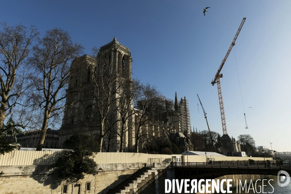 Une grue géante au chevet de Notre-Dame de Paris.