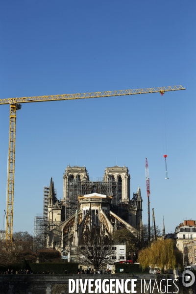 Une grue géante au chevet de Notre-Dame de Paris.