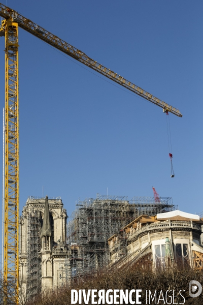 Une grue géante au chevet de Notre-Dame de Paris.