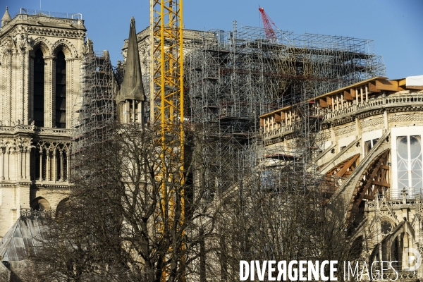 Une grue géante au chevet de Notre-Dame de Paris.