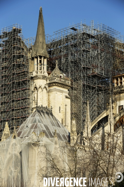 Une grue géante au chevet de Notre-Dame de Paris.